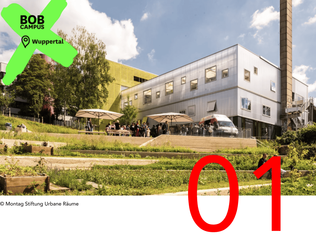 NEWSLETTER  #07_01-2